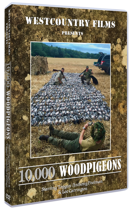 10,000 WOODPIGEONS – ANTHONY POOLMAN’S BIG DAY !